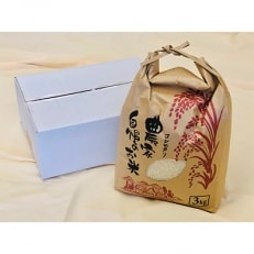新米刈りたて!農家自慢のお米(コシヒカリ)【令和5年産米 3kg】