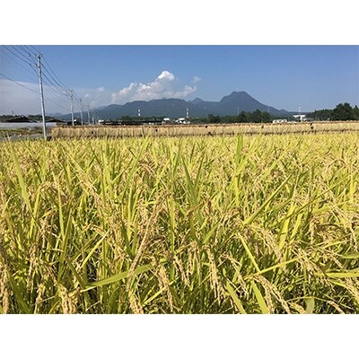 八州高原強運米 玄米3分づきコシヒカリ 数量限定 【 3kg】