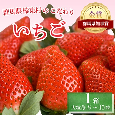 ストロベリーみなみ こだわり　『いちご』1箱