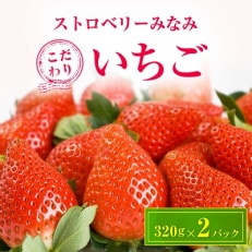 群馬県,いちごのお礼品・返礼品一覧 | ふるさと納税サイト「さとふる」