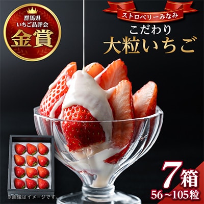 ストロベリーみなみ こだわり 『いちご』7箱