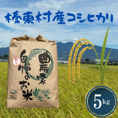 【令和7年産】お米コシヒカリ(精米) 5kg【ストロベリーみなみ】