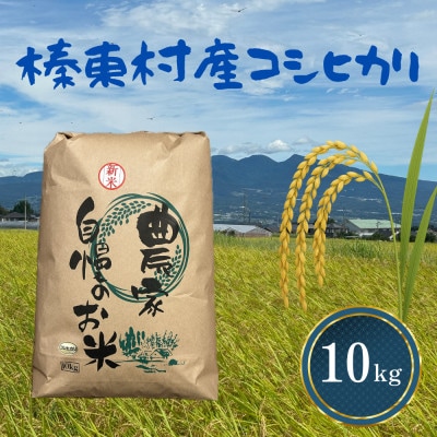 【令和7年産】お米コシヒカリ(精米) 10kg【ストロベリーみなみ】