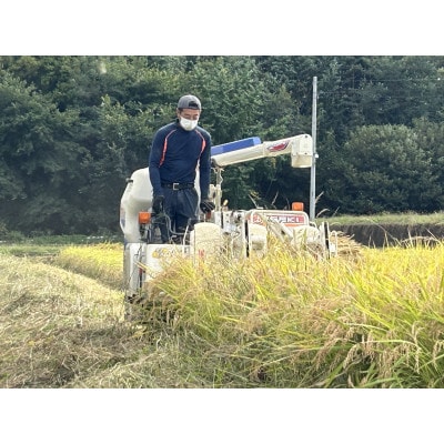 【令和7年産】お米コシヒカリ(精米) 10kg【ストロベリーみなみ】