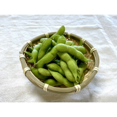 【2026年発送】枝豆(初だるま) 20袋入り 計5kg【ストロベリーみなみ】