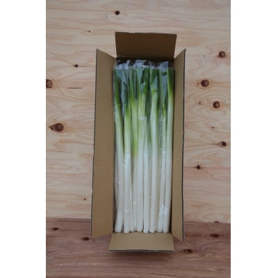 長ネギ 3kg入り【ストロベリーみなみ】