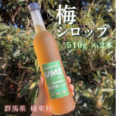 梅シロップ 510ml×2本