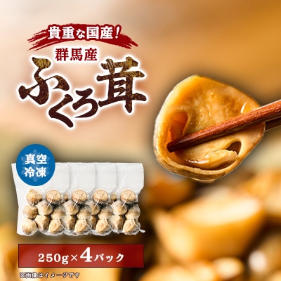 貴重な国産ふくろ茸　袋茸　フクロタケ【冷凍真空パック】丸いもの4パック