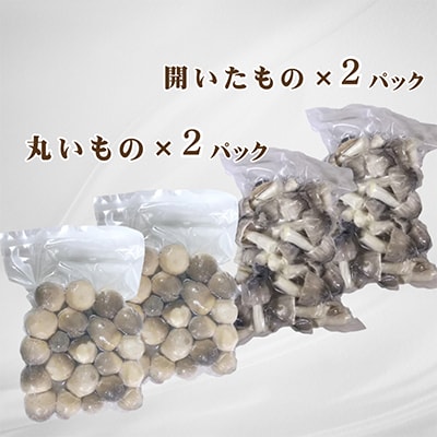 貴重な国産ふくろ茸　袋茸　フクロタケ【冷凍真空パック】丸いもの2パックと開いたもの2パック