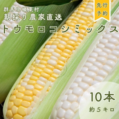 トウモロコシ(ゴールドラッシュ 白いおおもの ドルチェドリーム)合計10本 ミックス
