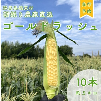 トウモロコシ　ゴールドラッシュ　10本