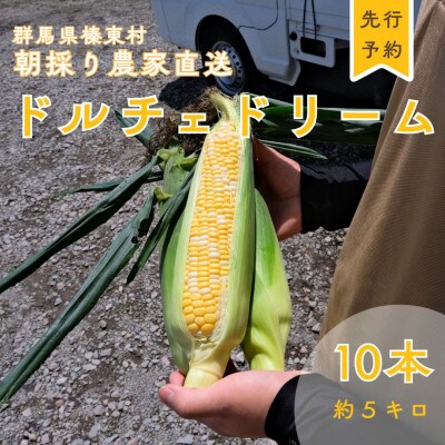トウモロコシ　ドルチェドリーム　10本