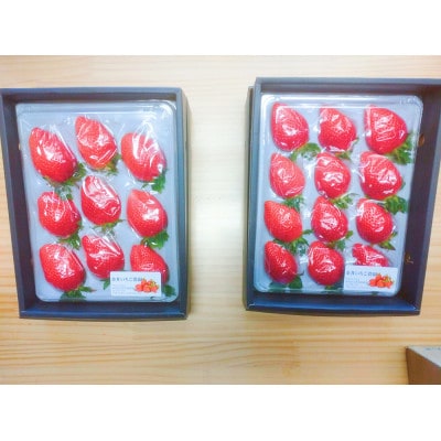金井いちご農園　贈答用いちご　2パック
