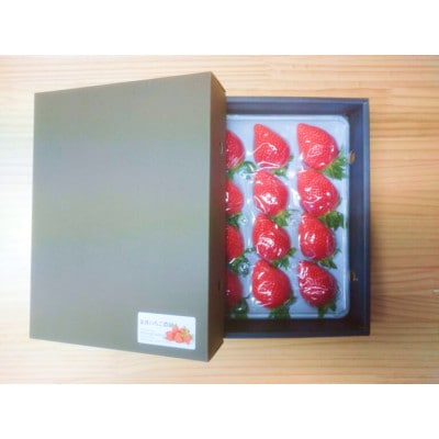 金井いちご農園　贈答用いちご　1パック