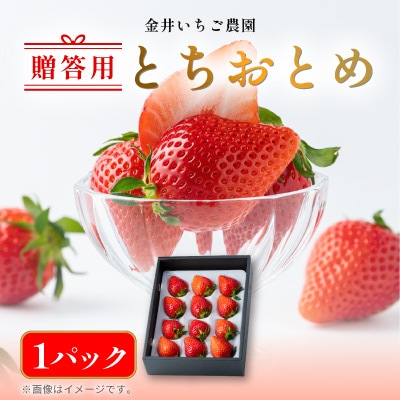 金井いちご農園　贈答用いちご　1パック