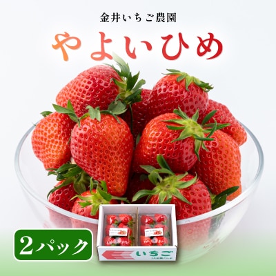金井いちご農園　やよいひめ　2パック