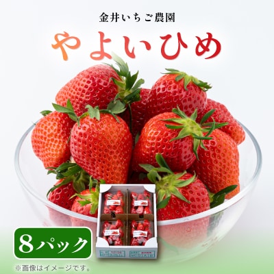 金井いちご農園　やよいひめ　8パック