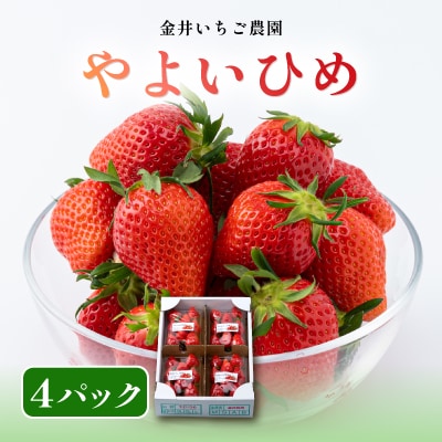 金井いちご農園　やよいひめ　4パック