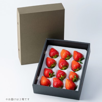 大切な方への贈り物に!金井いちご農園が育てた甘くてジューシーな「やよいひめ」2箱