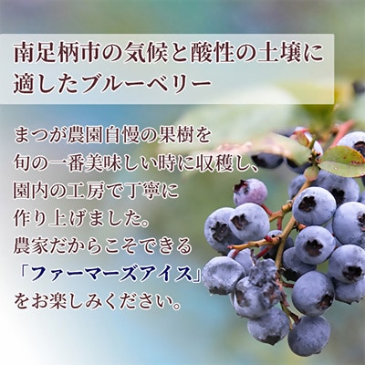 アイスクリームギフトセット　16個入