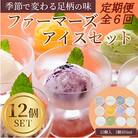 【毎月定期便】アイスクリームギフトセット12個入全6回