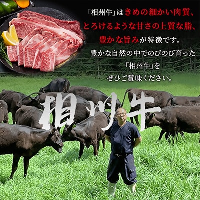 相州牛(そうしゅうぎゅう)すき焼き用　500g
