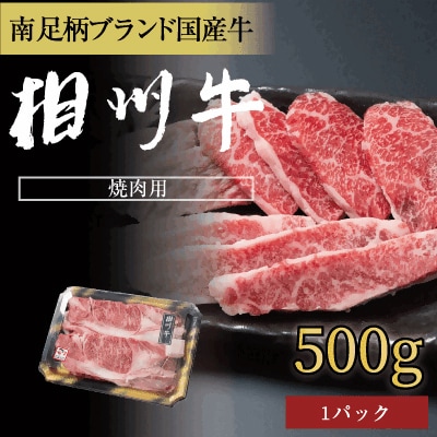 相州牛(そうしゅうぎゅう)焼肉用カルビ　500g