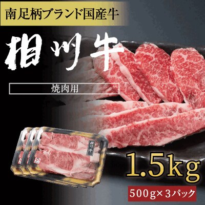 相州牛(そうしゅうぎゅう)焼肉用カルビ　1.5kg