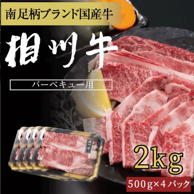 相州牛(そうしゅうぎゅう)BBQ用(厚切り&薄切りセット)　2kg