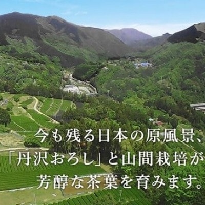 箱根山麓紅茶リシール缶490g×24本入