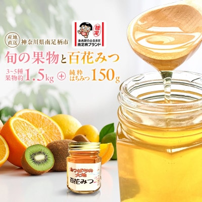 南足柄の旬の果物とはちみつ　ミニトートバッグ&みつろうラップ付きギフトセット