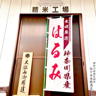 【令和6年産】湘南生まれ 南足柄育ちのお米「はるみ」(精米)10kg(5kg×2袋)