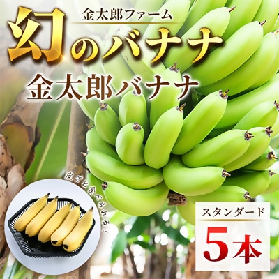 南足柄産金太郎バナナ スタンダード5本セット※数に限りがあります
