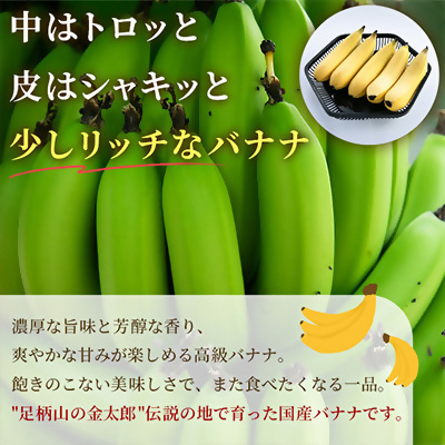 南足柄産金太郎バナナ スタンダード5本セット※数に限りがあります