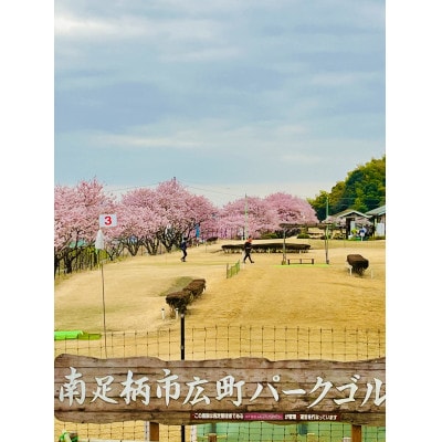広町パークゴルフ場　1日利用券　2枚