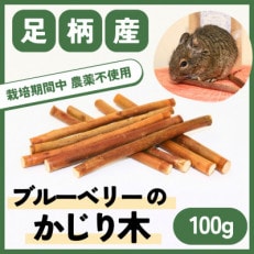 【小動物ペットに】足柄産ブルーベリーのかじり木100g【デグー チンチラ モルモット ハムスター】