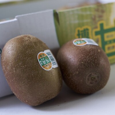 福岡県産ブランドキウイ「甘うぃ」約1.5kg(12-15玉)(志免町)