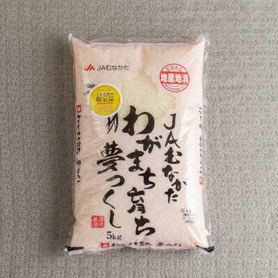 果物屋さんが選んだ米「夢つくし」5kg(志免町) | お礼品詳細