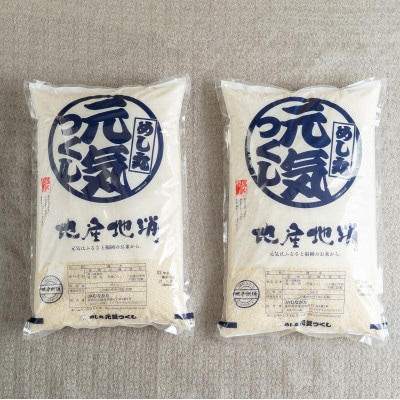 果物屋さんが選んだ米「元気つくし」10kg(志免町)
