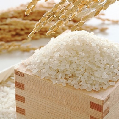 果物屋さんが選んだ米食べ比べ「夢つくし&元気つくし」5kg×2袋(志免町)