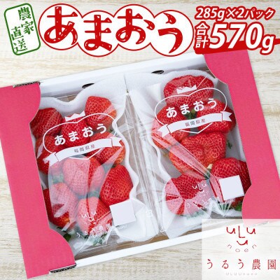 【先行受付】あまおうスタンダード2パック　570g(志免町)