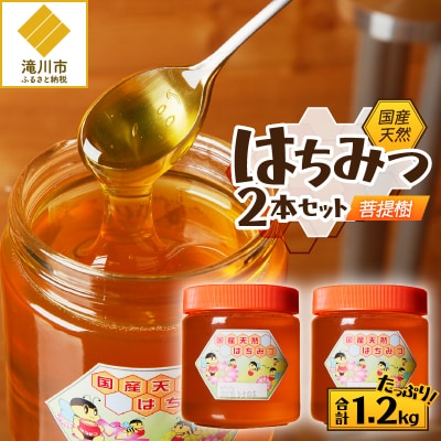 【北海道滝川産】高見養蜂場の純粋はちみつ(菩提樹、シナの木600g×2本) 国産 天然 無添加 蜂蜜