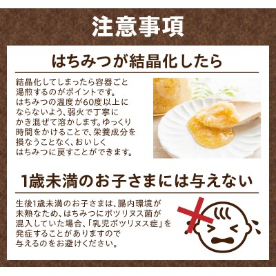 【北海道滝川産】高見養蜂場の純粋はちみつ(菩提樹、シナの木600g×2本) 国産 天然 無添加 蜂蜜