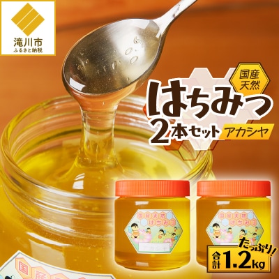 【北海道滝川産】高見養蜂場の純粋はちみつ(アカシヤ600g×2本)国産 天然 無添加 ハチミツ 蜂蜜