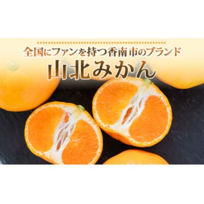 【2回定期便】山北温室みかん1.2kg Wku-0059