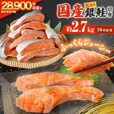 《訳あり》 産地直送! どっさり 2.7kg! 国産銀鮭 定塩切身 冷凍 鮭 切り身 石巻市
