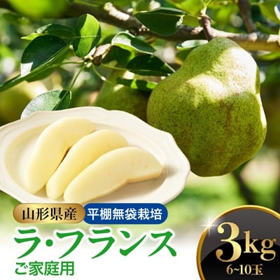 西洋梨(ラ・フランス)3kg　ご家庭用　0052-2605
