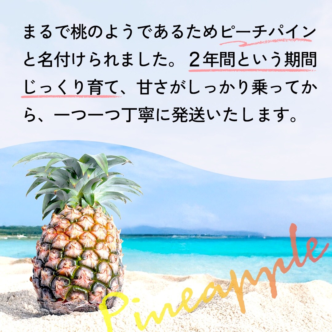 【先行受付】石垣島産 中玉ピーチパイン 4玉 合計約3.2kg《2025年夏季 順次発送》
