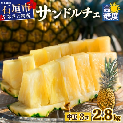【先行受付】石垣島産 中玉サンドルチェ3玉 合計約2.8kg《2025年夏季 順次発送》