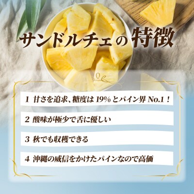 【先行受付】石垣島産 中玉サンドルチェ3玉 合計約2.8kg《2025年夏季 順次発送》